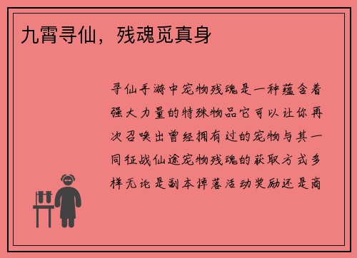 九霄寻仙，残魂觅真身